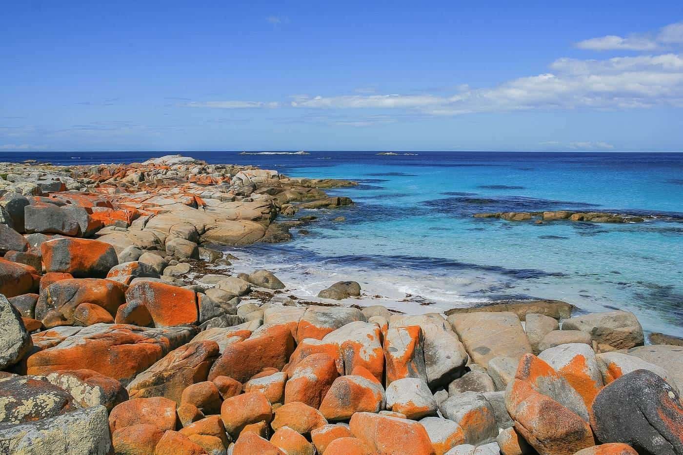 Orange lichen on granite boulders at the Bay of Fires